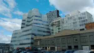 ONE AFTERNOON IN THE MEATPACKING DISTRICT