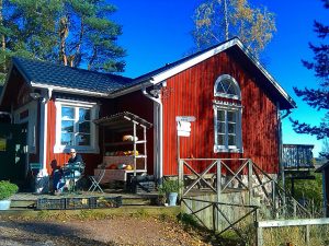 VISIT TO THE COUNTRYSIDE FARM STORE