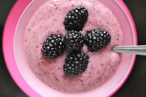Berry Coconut Kombucha Mousse