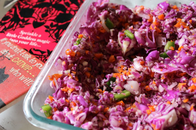 cancer preventing red cabbage cole slaw i batch cooked