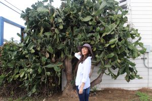 5 Easy Ways to Add More Mindfulness to Your Life